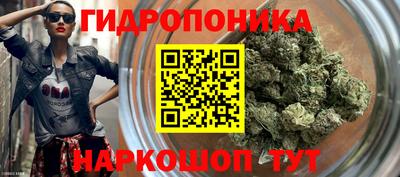гидра Тверь