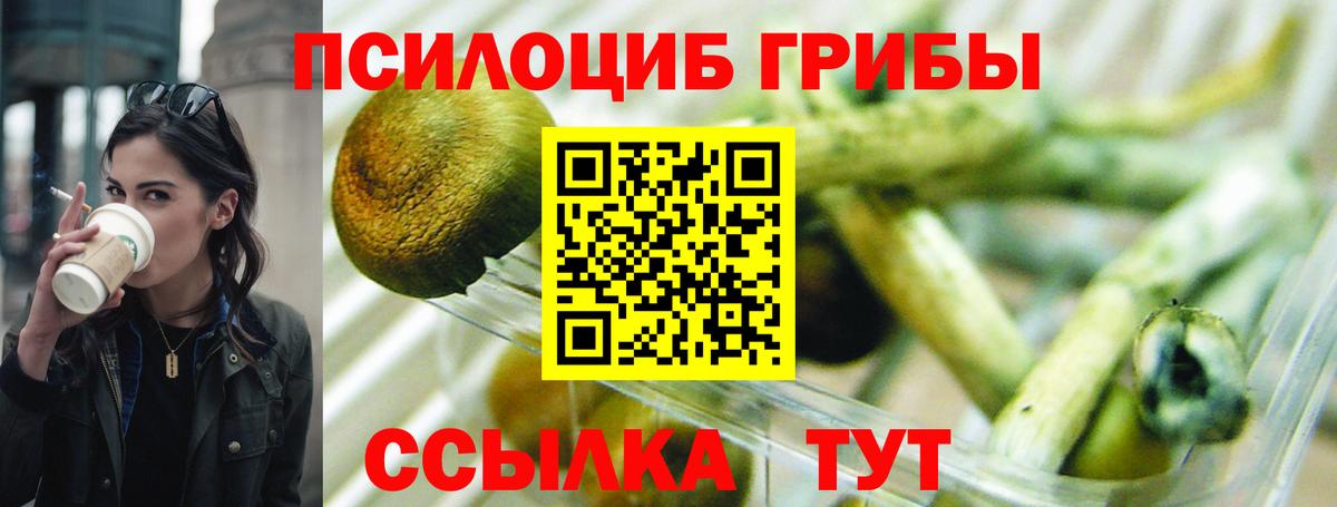 Новотроицк  Псилоцибиновые грибы Psilocybe  Вход с VPN 